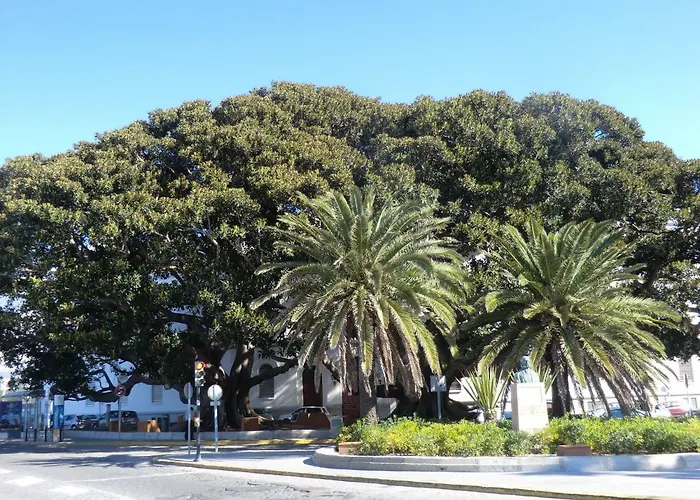 La Casa Del Dibujante 公寓