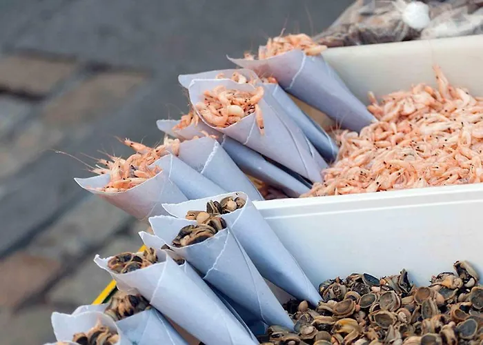 La Casa Del Dibujante *