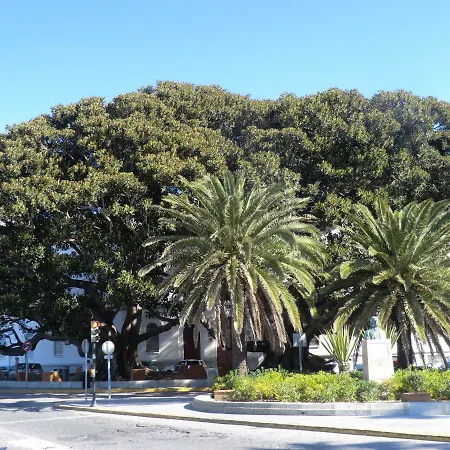 La Casa Del Dibujante 公寓