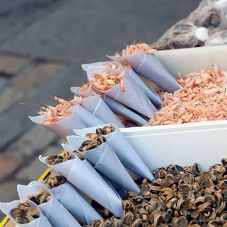 La Casa Del Dibujante *